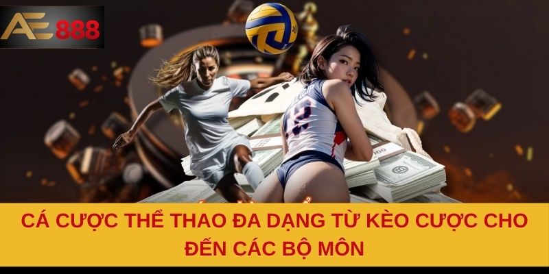 Cá cược thể thao đa dạng từ kèo cược cho đến các bộ môn