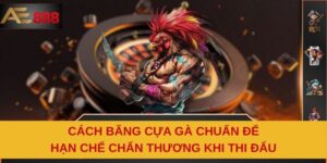Cách Băng Cựa Gà Chuẩn Để Hạn Chế Chấn Thương Khi Thi Đấu