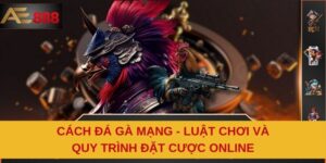 Cách Đá Gà Mạng - Luật Chơi Và Quy Trình Đặt Cược Online