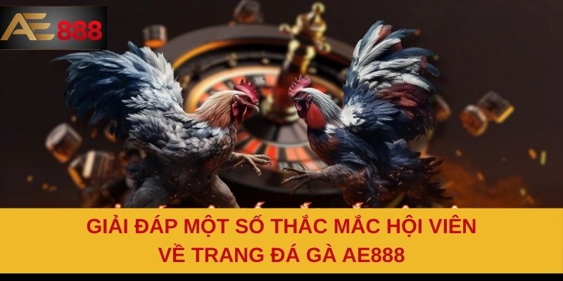 Giải đáp một số thắc mắc hội viên về trang đá gà AE888