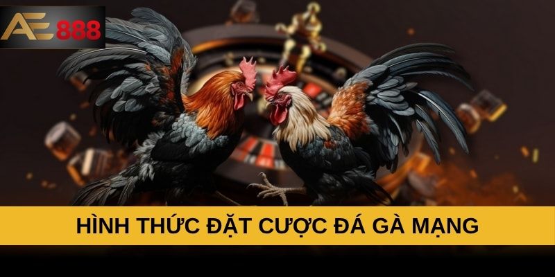 Hình thức đặt cược đá gà mạng