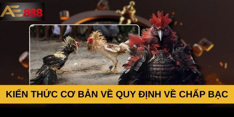 Kiến thức cơ bản về quy định về chấp bạc