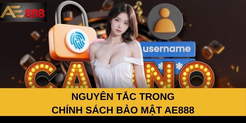 Nguyên tắc trong chính sách bảo mật AE888