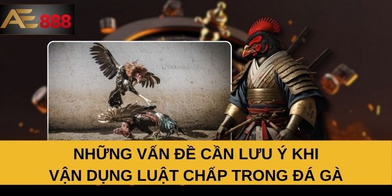 Những vấn đề cần lưu ý khi vận dụng luật chấp trong đá gà