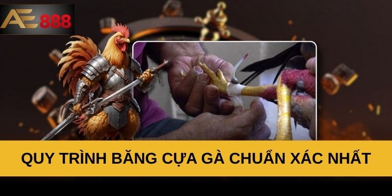 Quy trình băng cựa gà chuẩn xác nhất