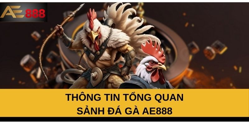 Thông tin tổng quan sảnh đá gà AE888