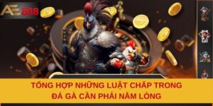 Tổng Hợp Những Luật Chấp Trong Đá Gà Cần Phải Nằm Lòng